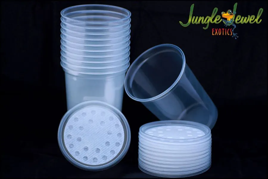 32 oz Deli Cups - Semi Opaque - Image 2