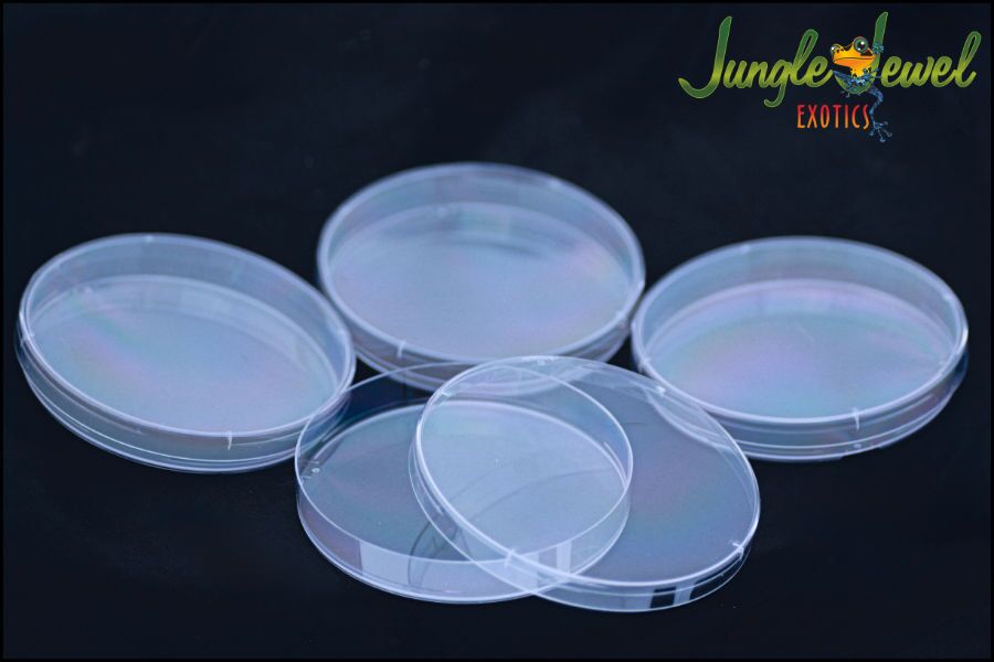 Petri Dish 4 pack