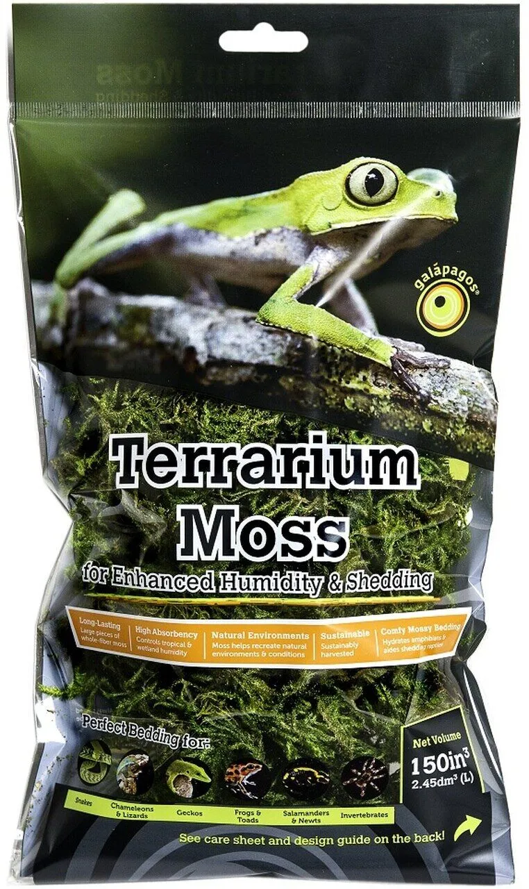 Galapagos Green Sphagnum Moss