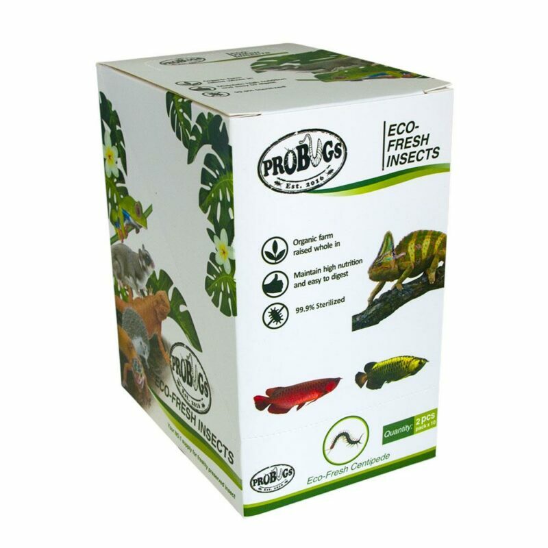 ProBugs Eco-Fresh Centipede (2 per Pouch) - Image 2