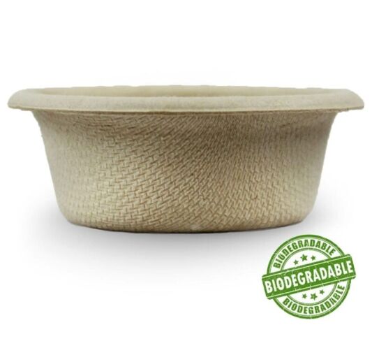 Pangea Large Biodegradable Gecko Feeding Cups 1.5 oz