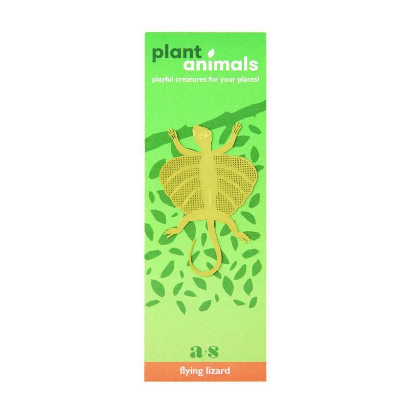 Plant Animals Flying Lizard Packaging