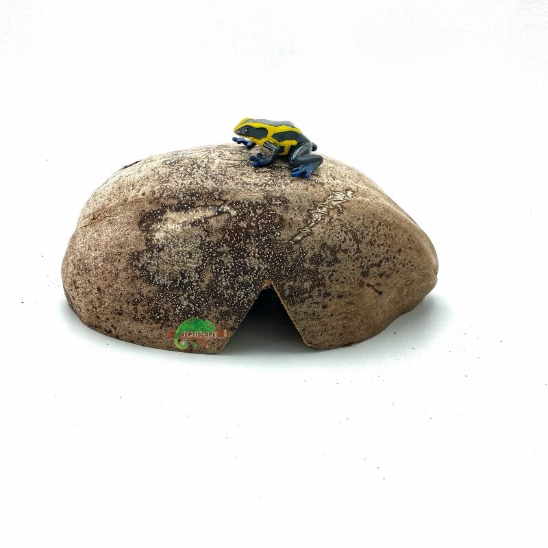 Half Coconut Hideout with Husk by Reptiscape - Image 2