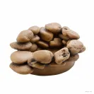 Exo Terra Large Pebble Water Dish Frog Pond full view