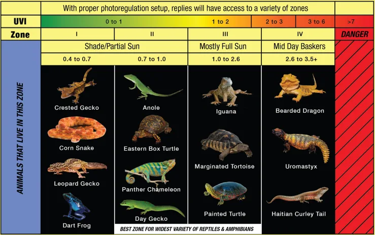 Find the Correct UVB Bulb for your Reptile Chart