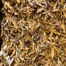 Weeping Willow leaves for Reptile Terrarium