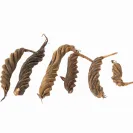 Fusilli Pods