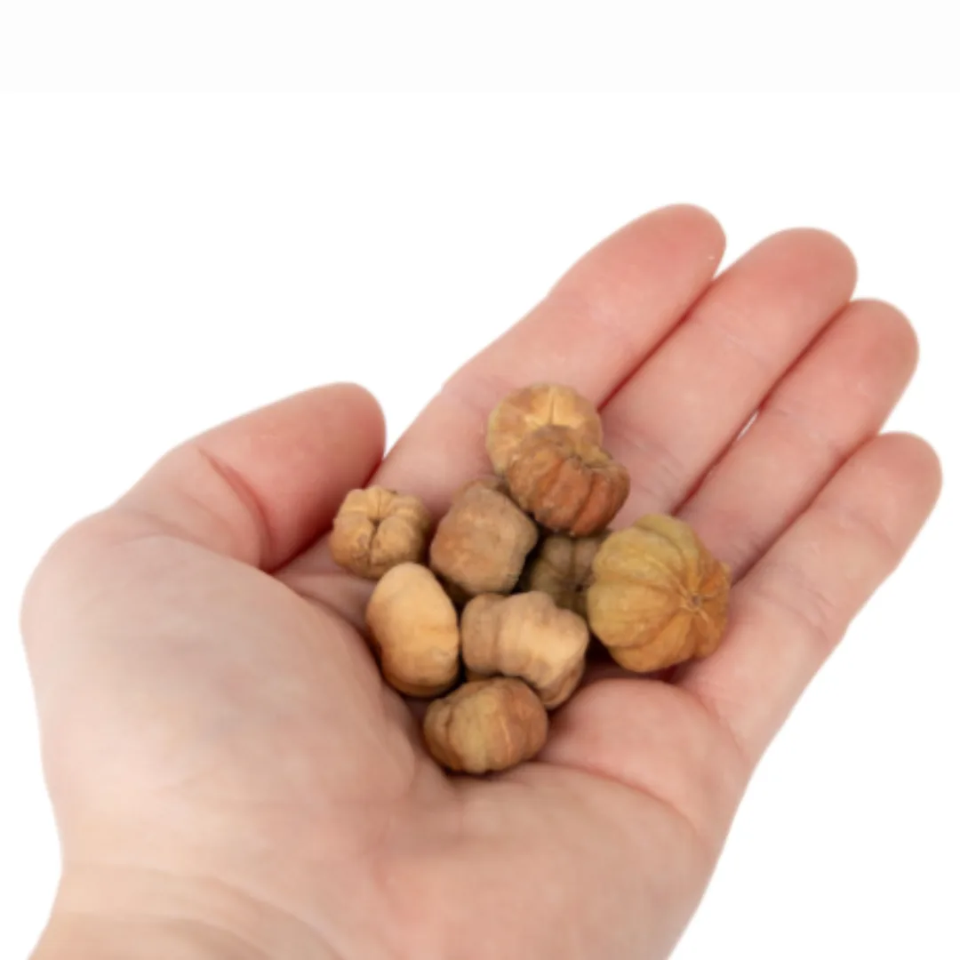 Mini Pumpkin pods size