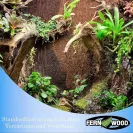 Tree Fern Panel AKA Tree Fern Orchid Board in a Terrarium