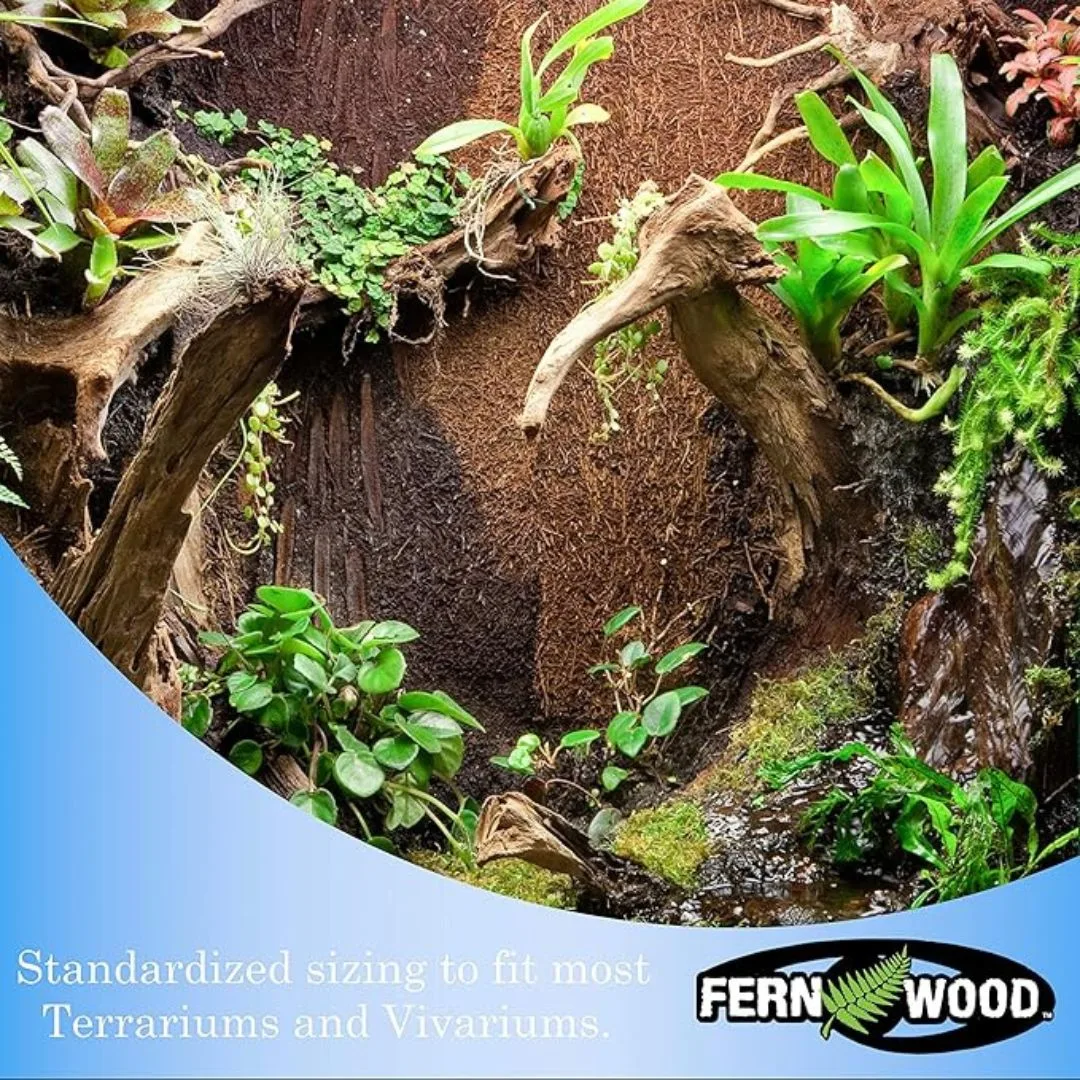 Tree Fern Panel AKA Tree Fern Orchid Board in a Terrarium