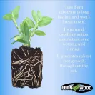 Tree Fern Substrate for potted plants