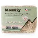 premium sphagnum moss by Mossify 500gm