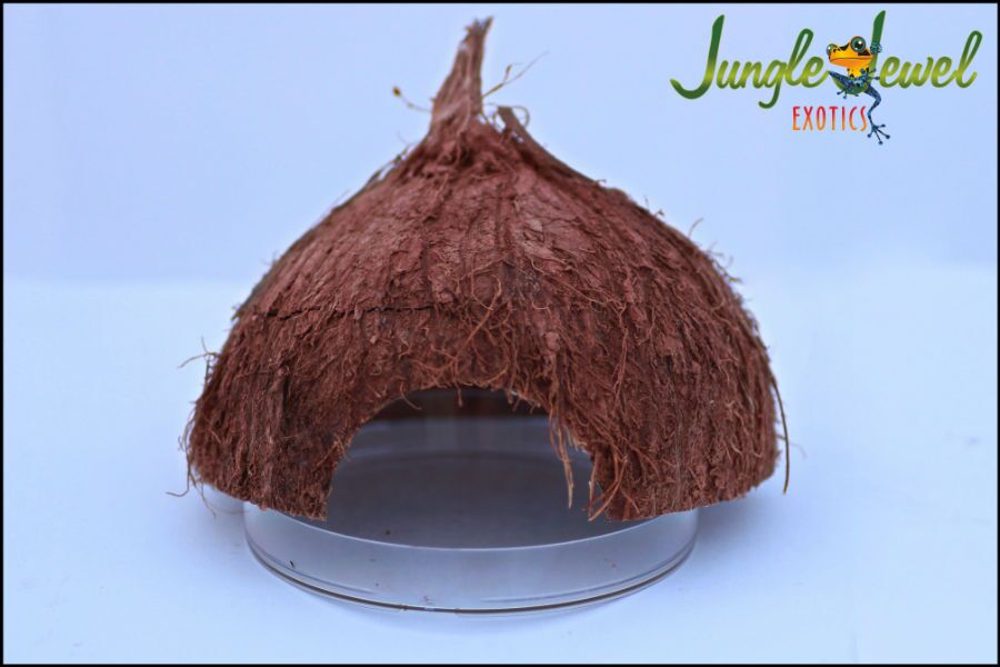 Petri Dish - 4 Pack - Image 2