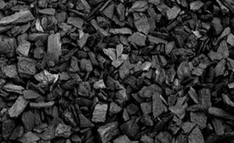 Biochar can be used as a horticultural charcoal