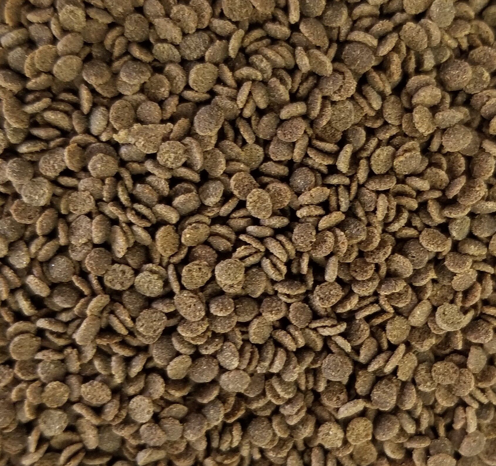 NorthFin Bug Pro 2mm Crisps - 130gm - Image 2