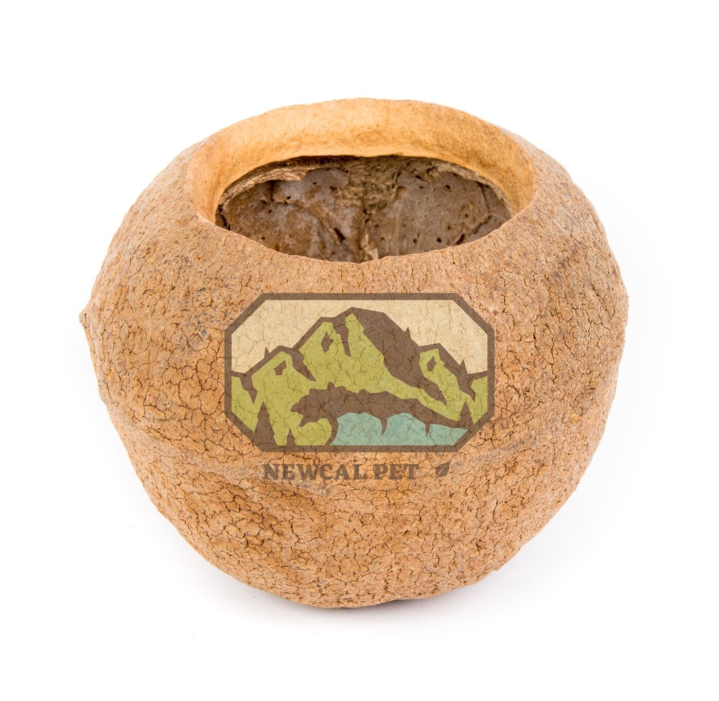 Sapucaia Monkey Pot by NewCal - 5" - Image 2