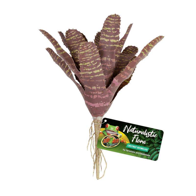 Artificial Plastic Fake Chestnut Bromeliad Plant for a Terrarium or Vivarium