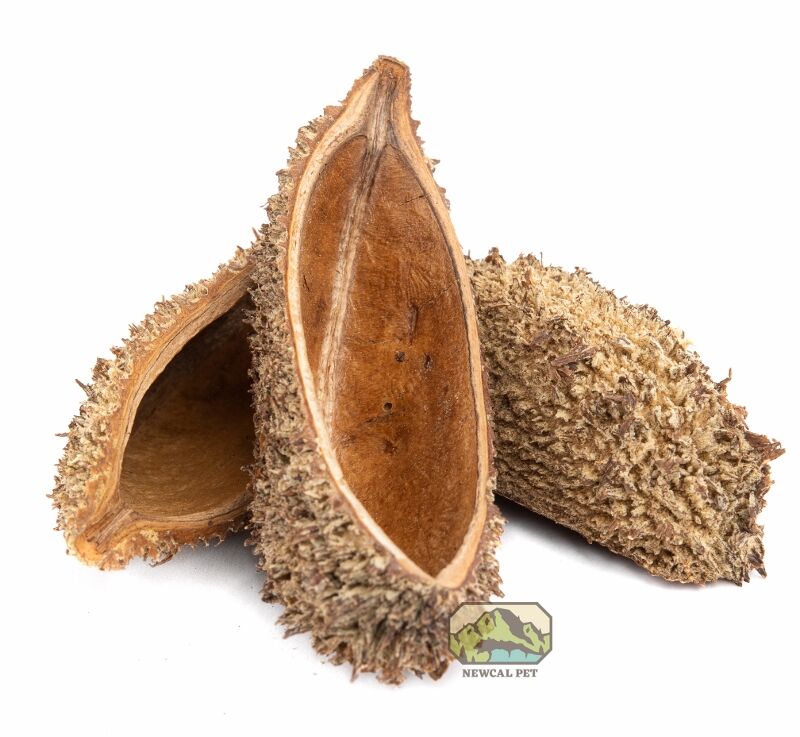 newcal devils purses