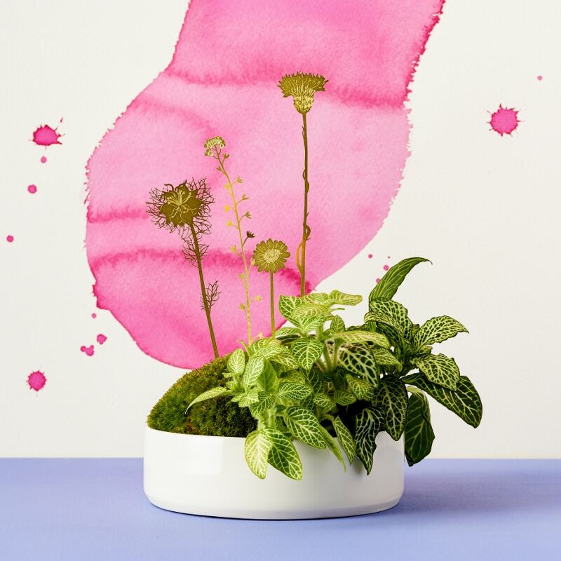 Brass Blooms Wild flowers