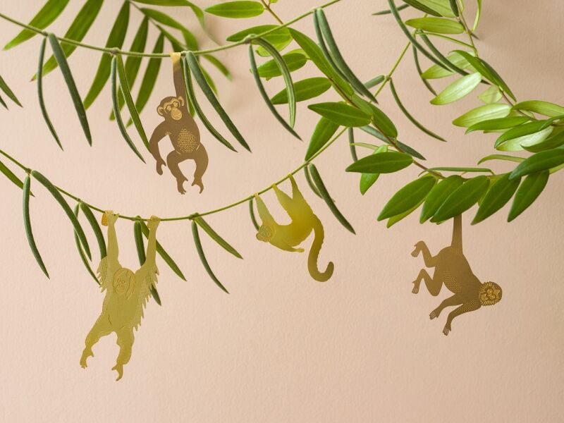 Plant Animal Primates