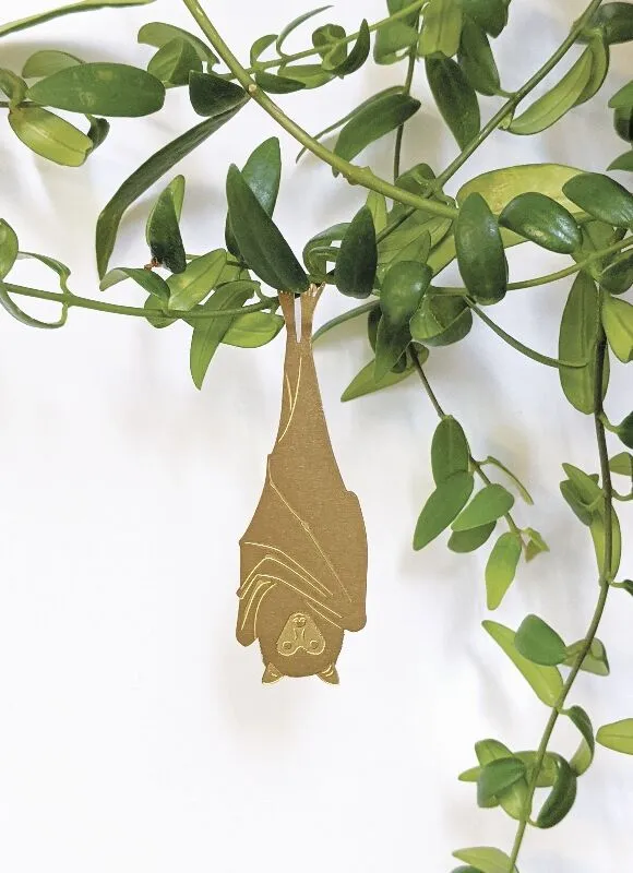 Plant Animal fruit bat