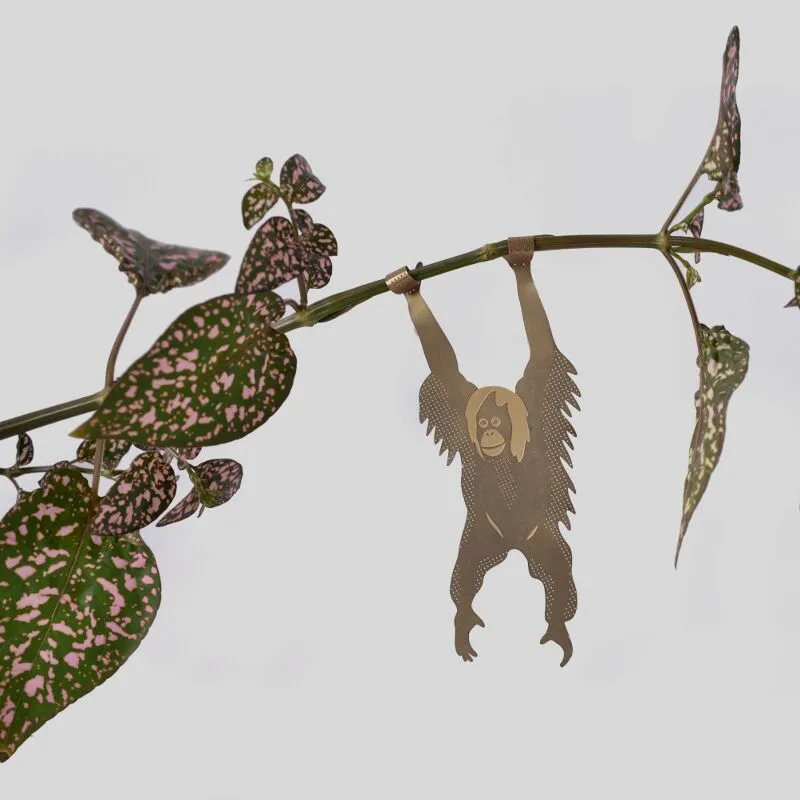 Plant Animal orangutan