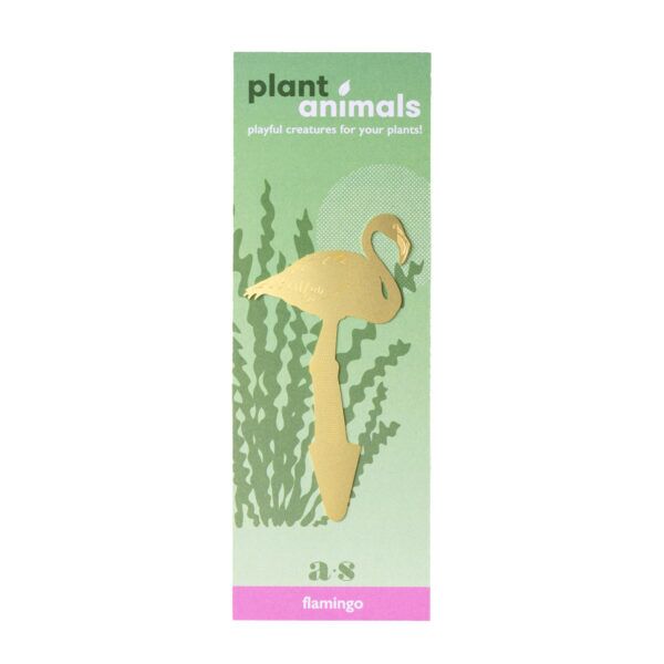 Plant Animals Flamingo Packaging