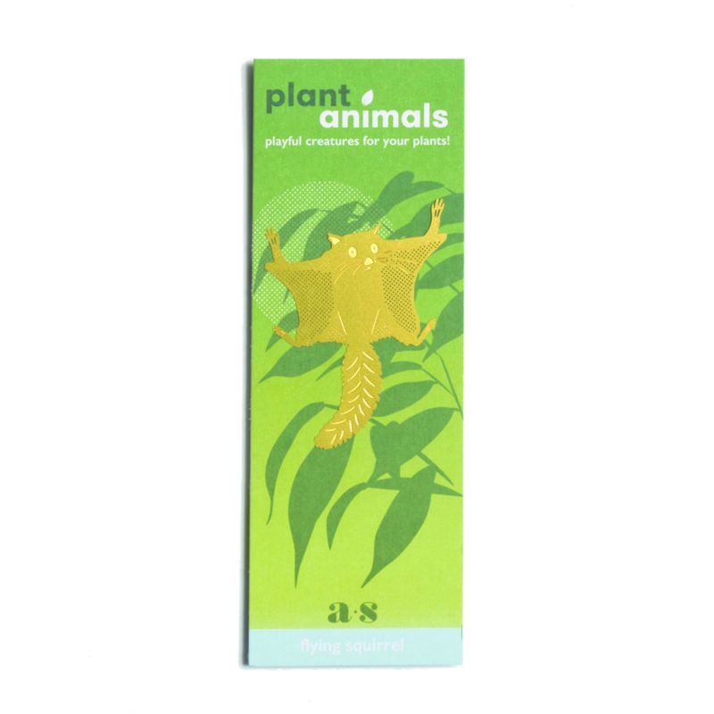 Plant Animals Flying Squirrel Packaging