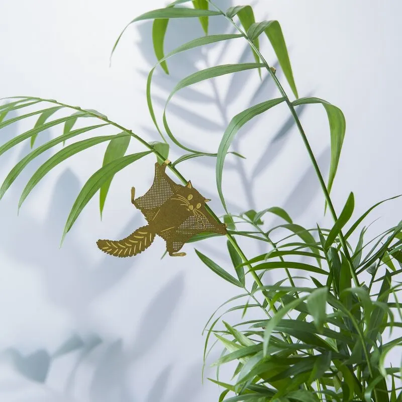 Plant Animals Flying Squirrel