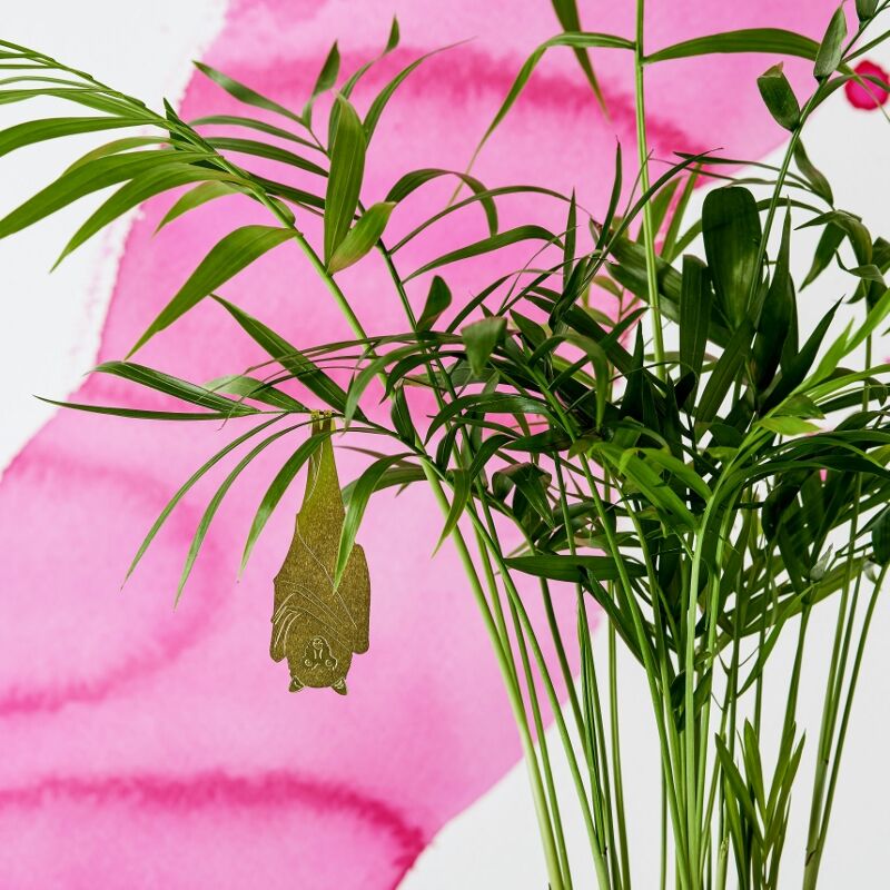 Plant Animals - Fruit Bat - Image 2