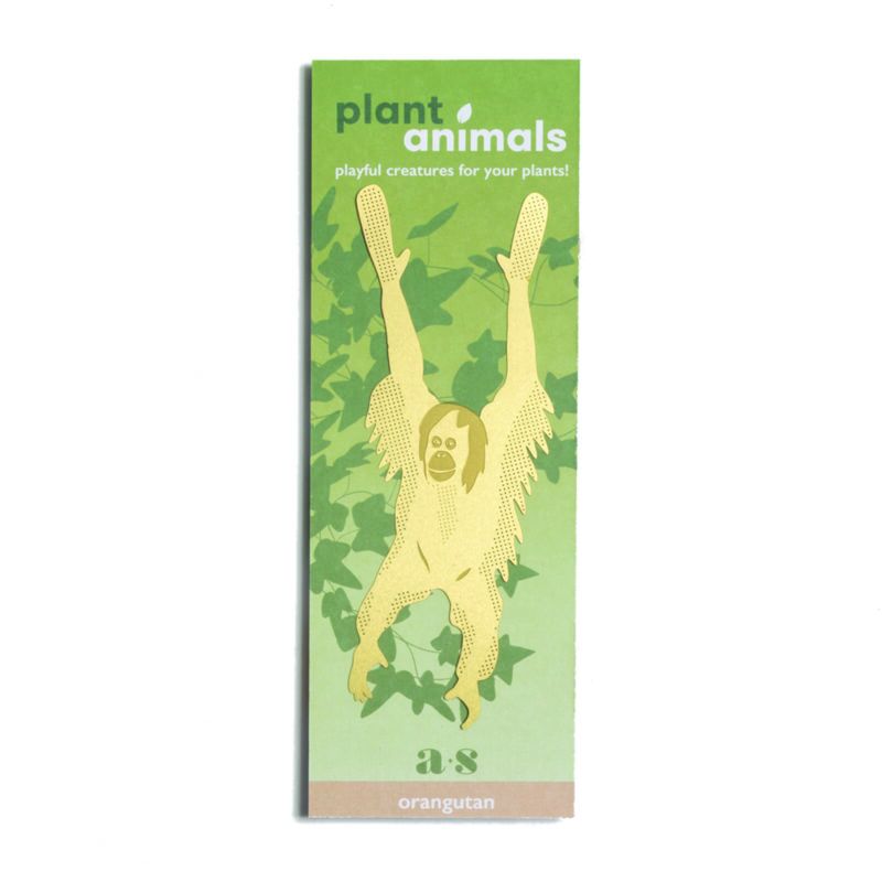 Plant Animals Orangutan Packaging