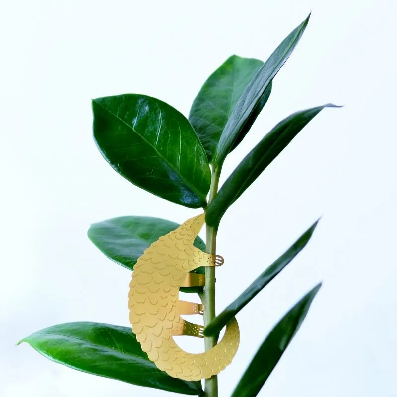 Plant Animals Pangolin