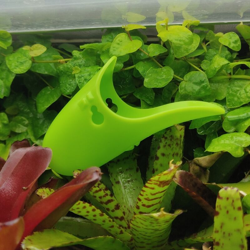 Tad-Pool - Bright Green Cup Set