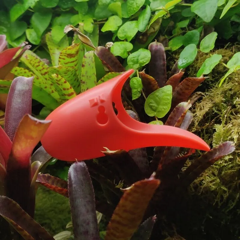 Tad-Pool Coral cup set in Terrarium