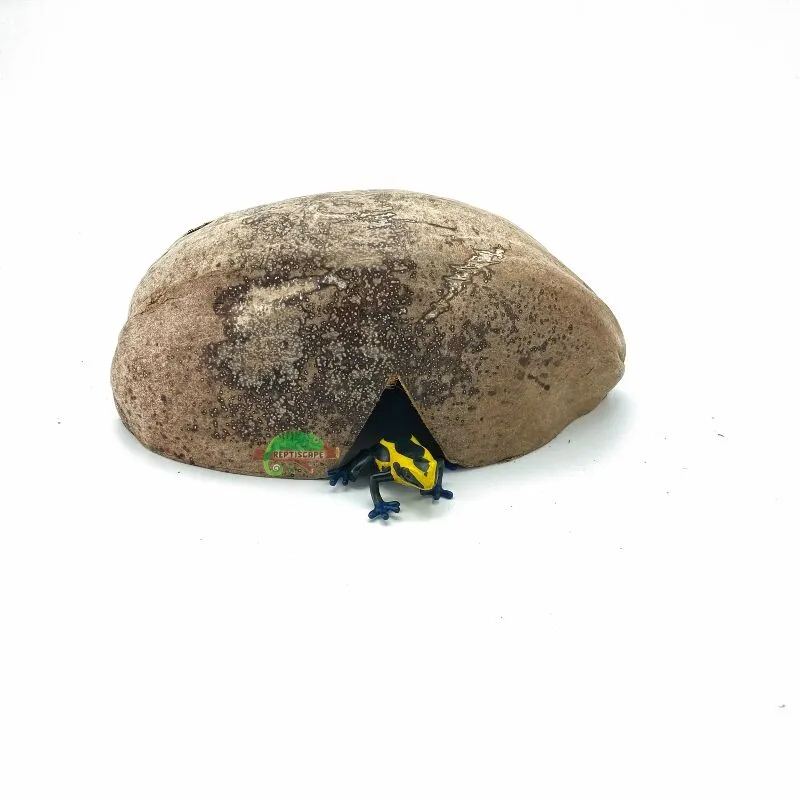 Reptiscape Half Coconut Hideout with Husk for Dart Frogs