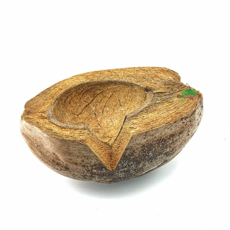 Reptiscape Half Coconut Hide Out with Whole Husk