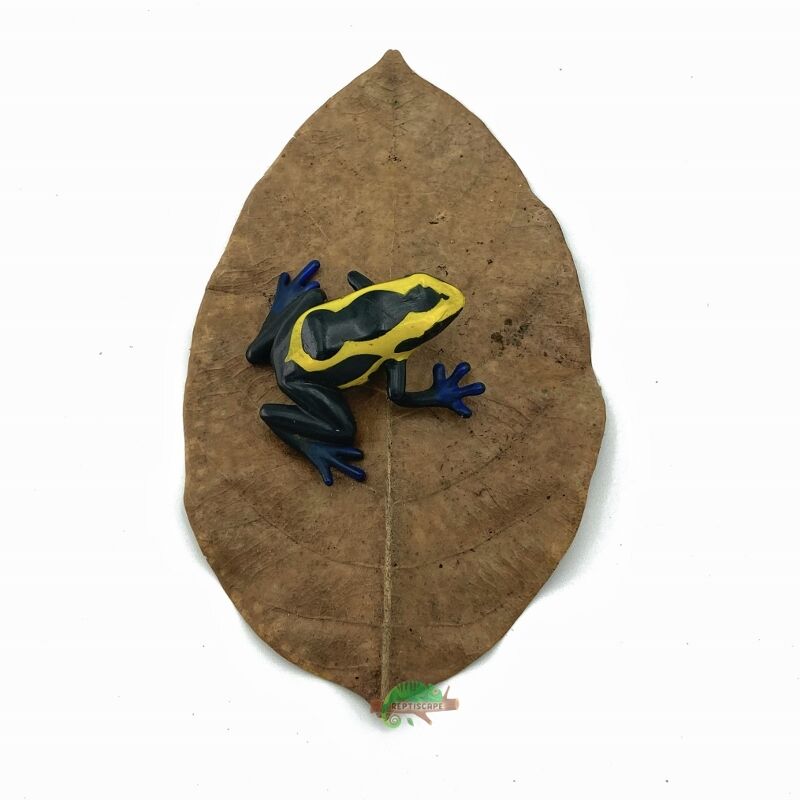 Reptiscape Jackfruit Small Leaf with dart frog