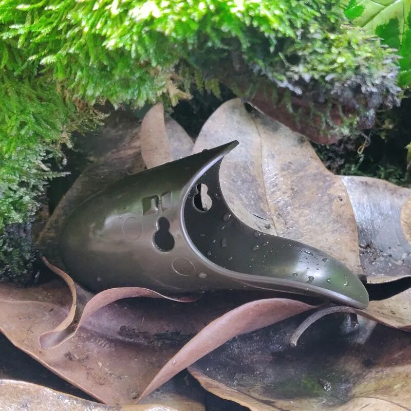 Tad-Pool - Brown cup in Terrarium