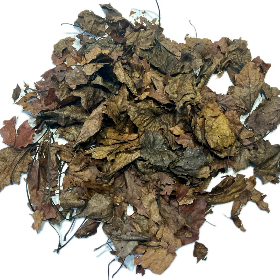 Crushed and Broken Maple Leaves for Isopods and Reptiles Terrariums