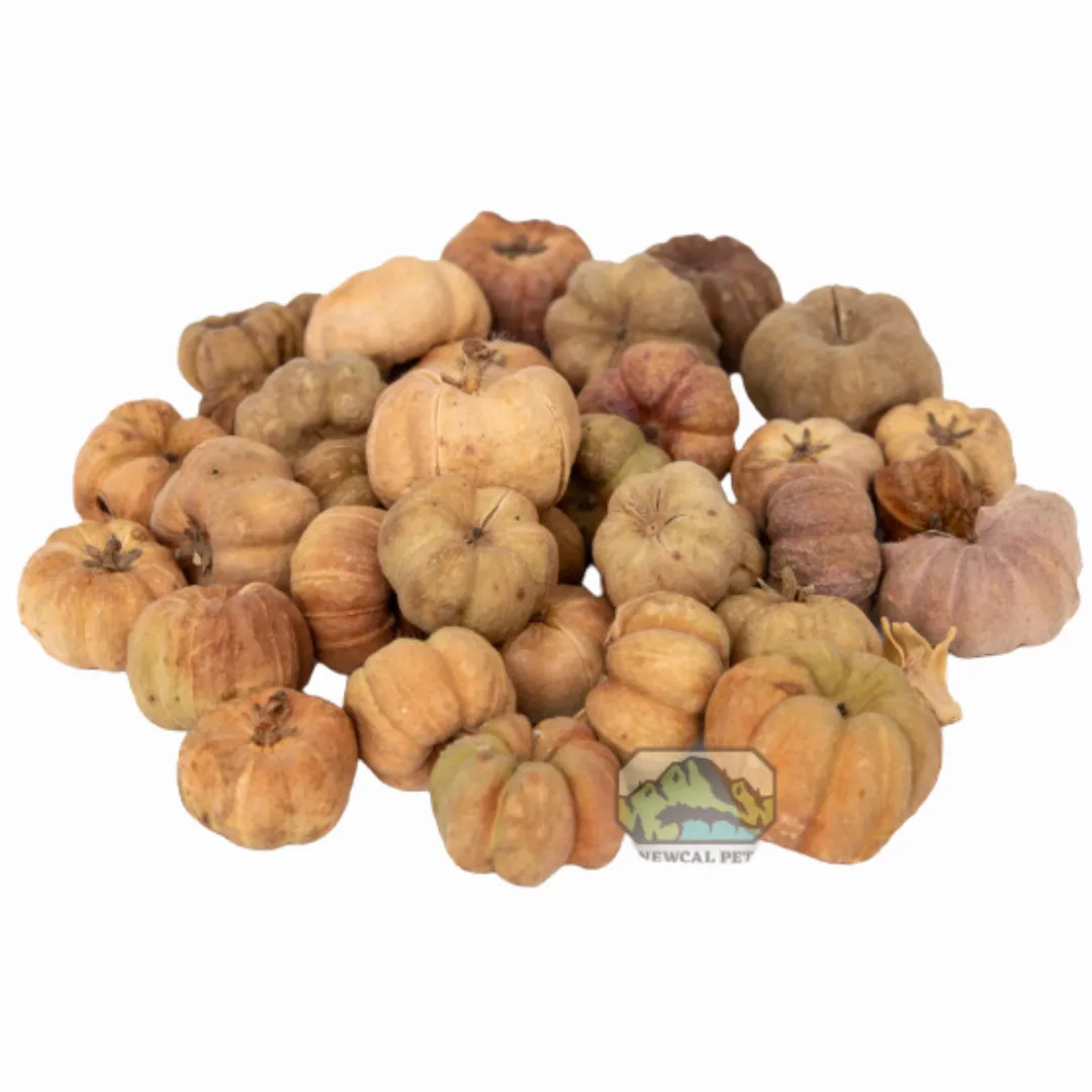 Mini Pumpkin pods 1oz