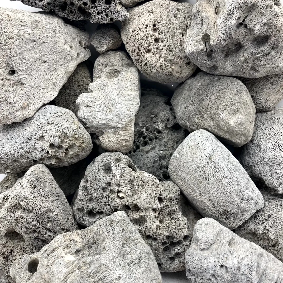 Peruvian Grey Pumice Stone
