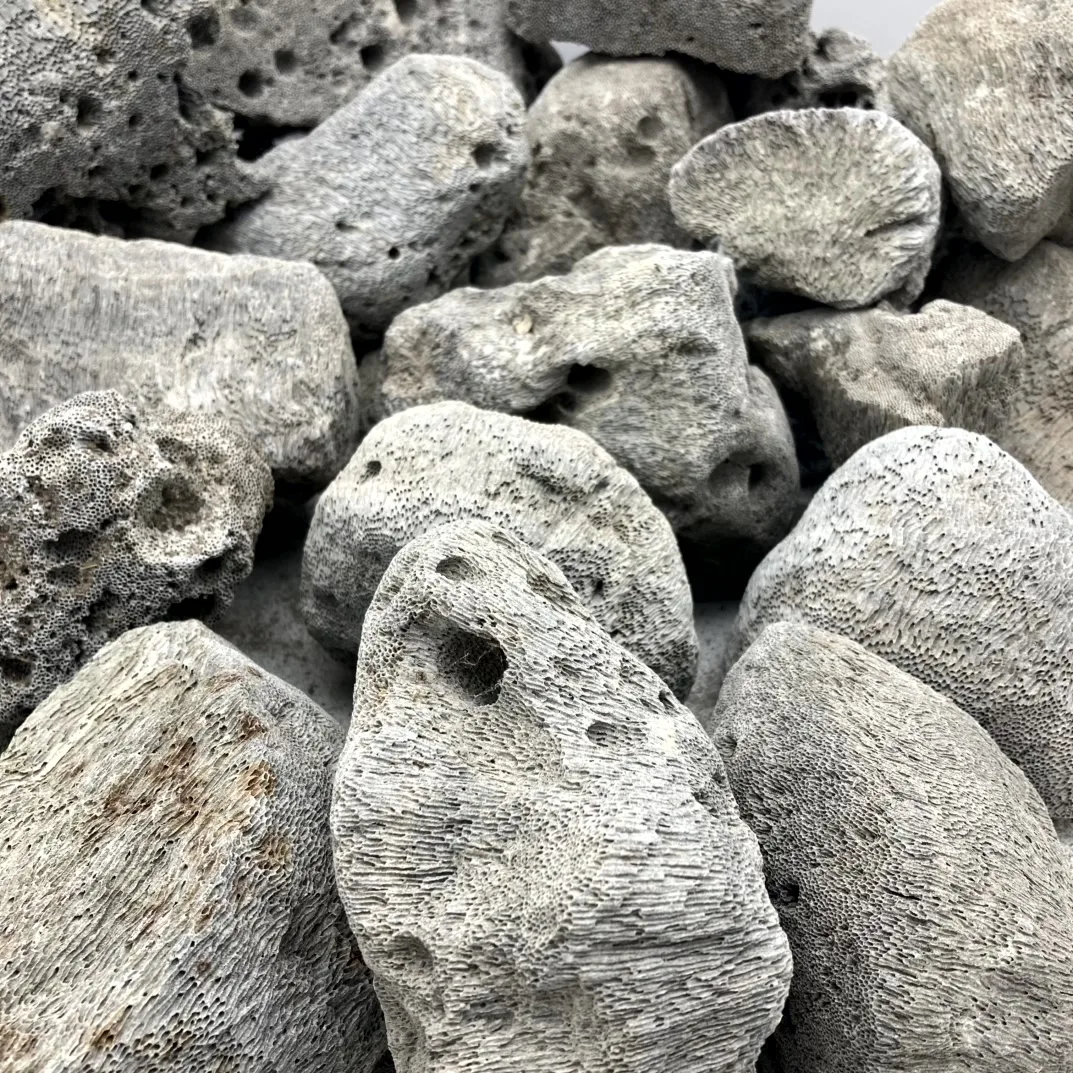 Peruvian Grey Pumice Stones pic