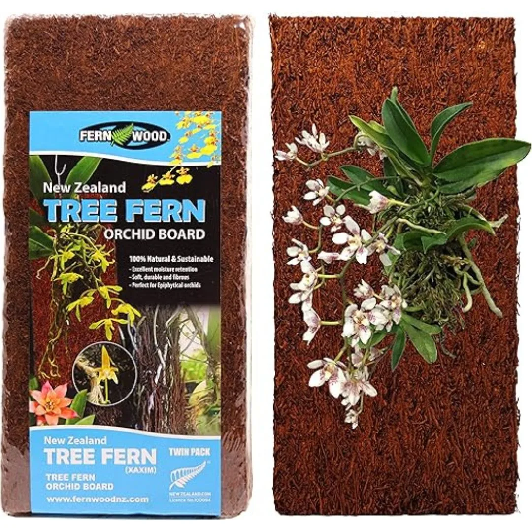 Tree Fern Panel AKA Tree Fern Orchid Board 12x6x1