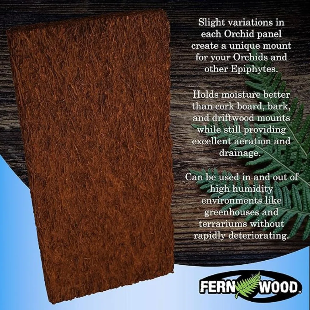 Tree Fern Panel AKA Tree Fern Orchid Board information