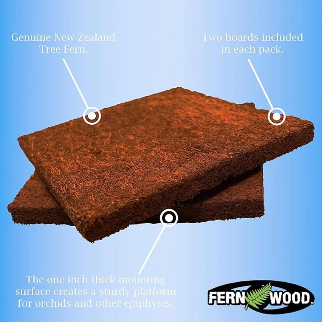 Tree Fern Panel Orchid Board Twin Pack