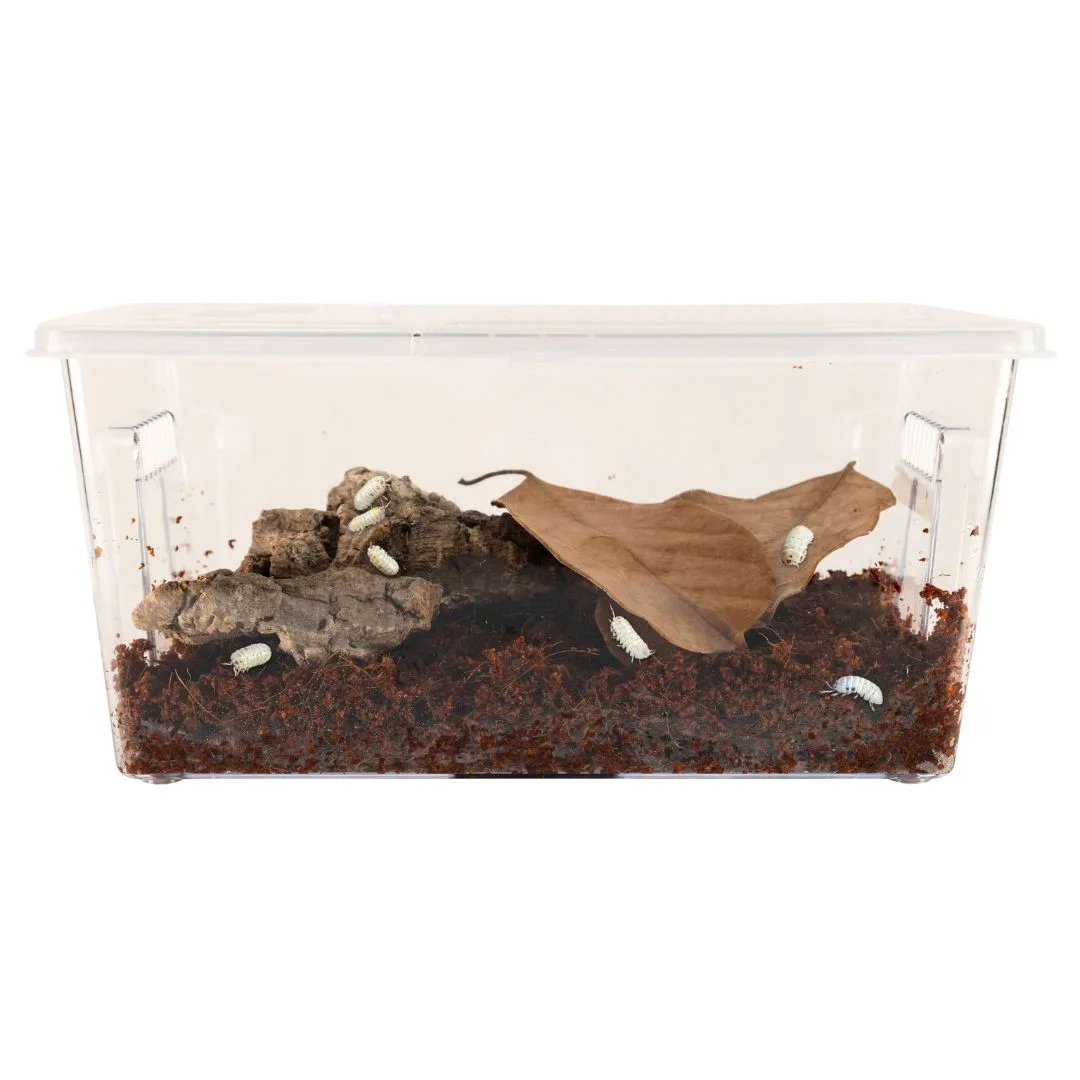 Zoo Med Rolly Polly Kit