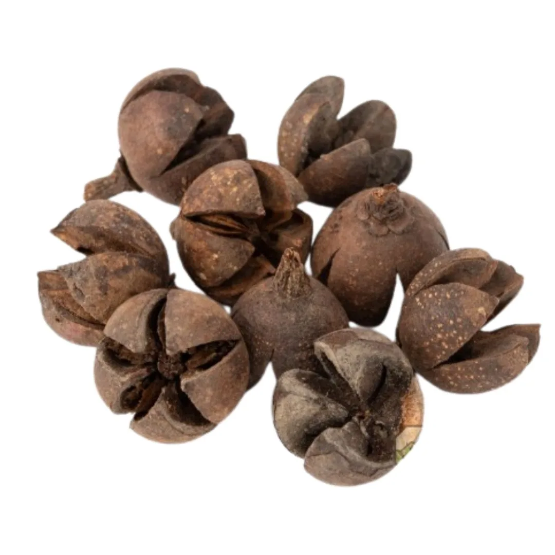 Walachi Pods by Newcal