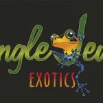 Jungle Jewel Exotics, Dart Frog, Gecko, Calgary, Edmonton, Alberta, Canada, Red Deer, BC, Saskatchewan, Sask, Manatoba, isopod, Springtail, bioactive, Vivarium, Biosoil, leaf litter, vitamin, breeder, mist king, reptisun, mister, LED, Light, UVB, drift wood, cork, cork tube,
