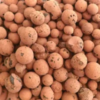 LECA - The Best Terrarium Drainage Layer substrate