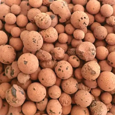 LECA - The Best Terrarium Drainage Layer substrate